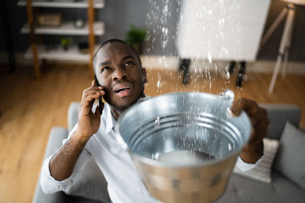 Best Sewage cleanup and water damage restoration  in Henderson, KY