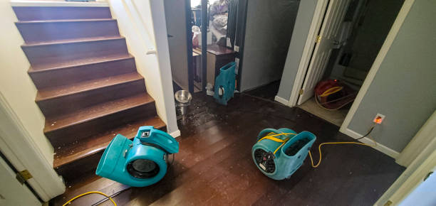 Best Flood restoration services  in Henderson, KY