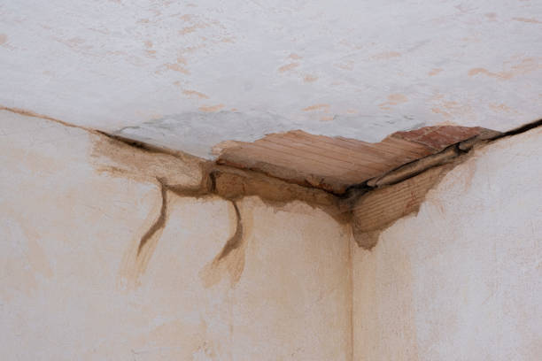 Best 24-hour water damage restoration  in Henderson, KY