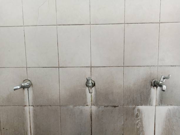 Best Carpet water damage restoration  in Henderson, KY